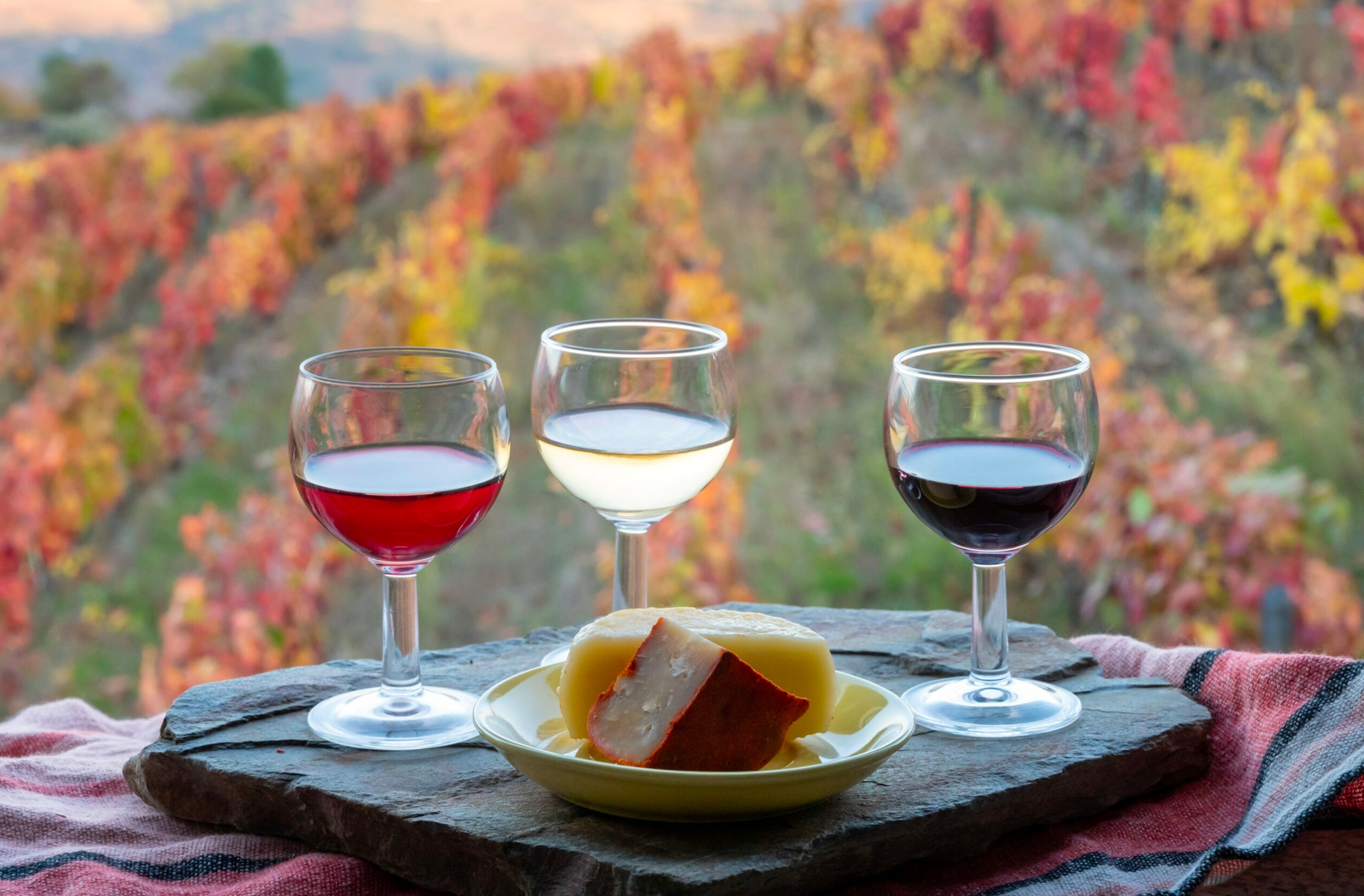 Tour - Évora and Alentejo Wine