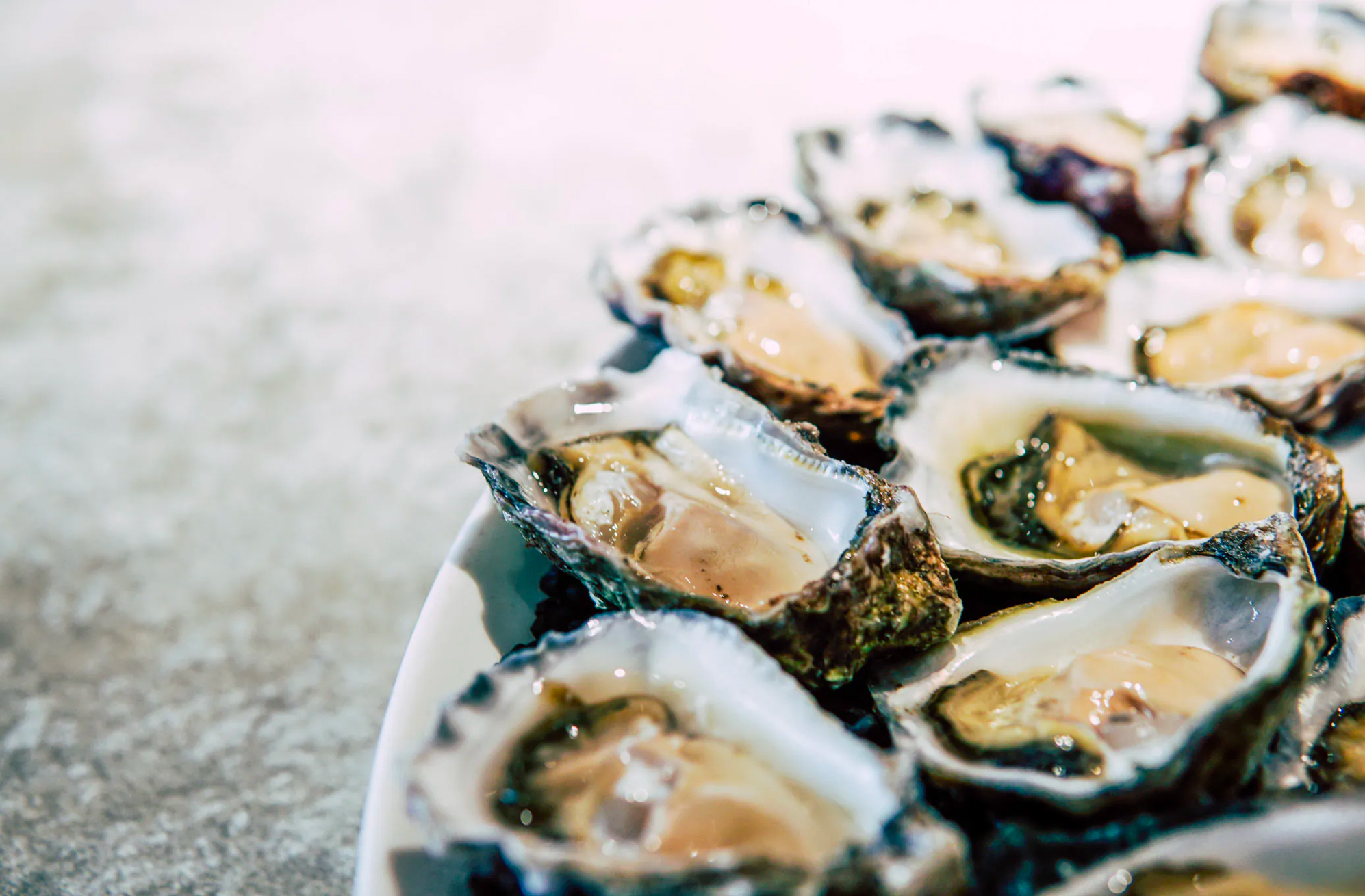 Algarve Coastal Paradise